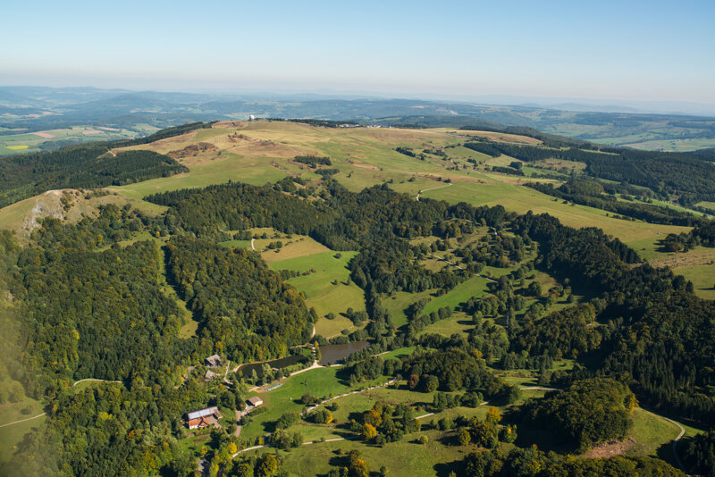 Waldlandschaft in Hessen – Naturkulisse rund um den Wildpark Alte Fasanerie in Hanau