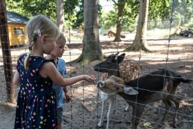 Tiergarten Neustrelitz 2