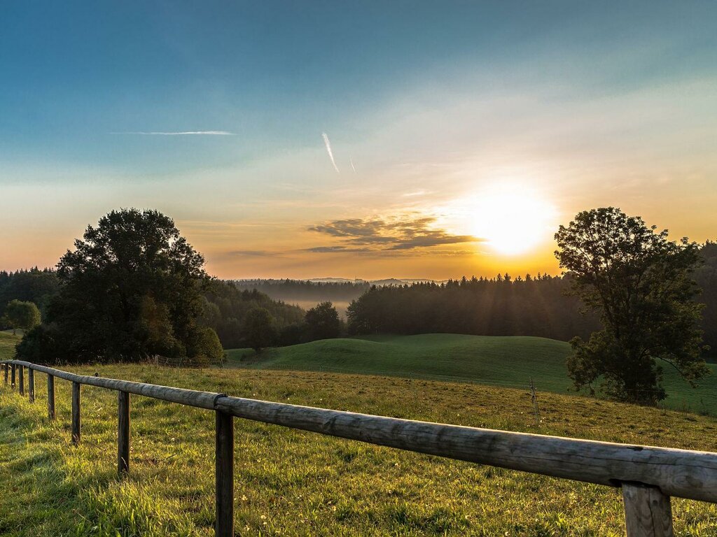 Linde Altann C Stadt Wolfegg