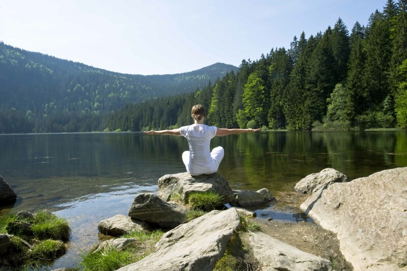 Naturlandschaft Bayerischer Wald – Waldidylle in Ostbayern