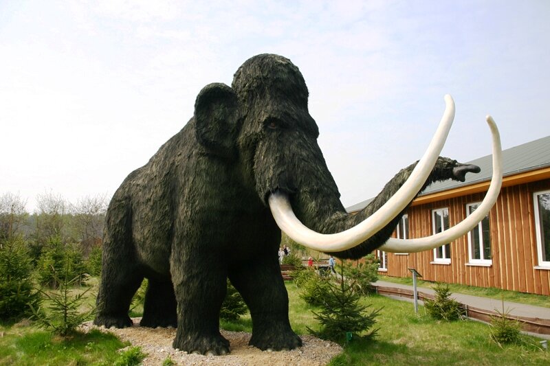 Dinosaurierpark Germendorf