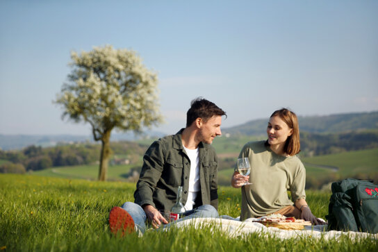 WF222084@Mostviertel Tourismus, weinfranz.at