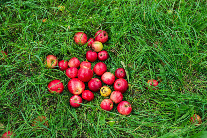 Hessen-Agentur 2015-10-04 D4 4535