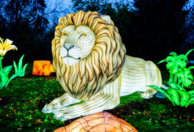 03 Serengeti-Park Lichterfestival 25-26