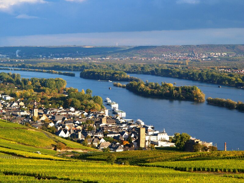 Rüdesheim von oben