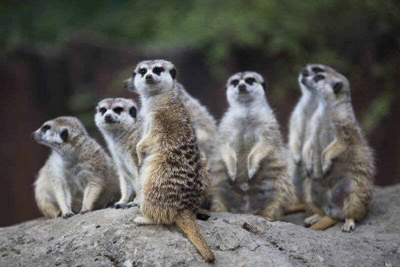 Zoo Schwerin