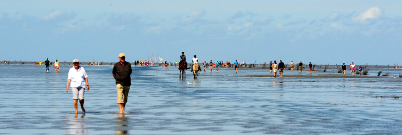 Geführte Wattwanderung im Nationalpark Wattenmeer
