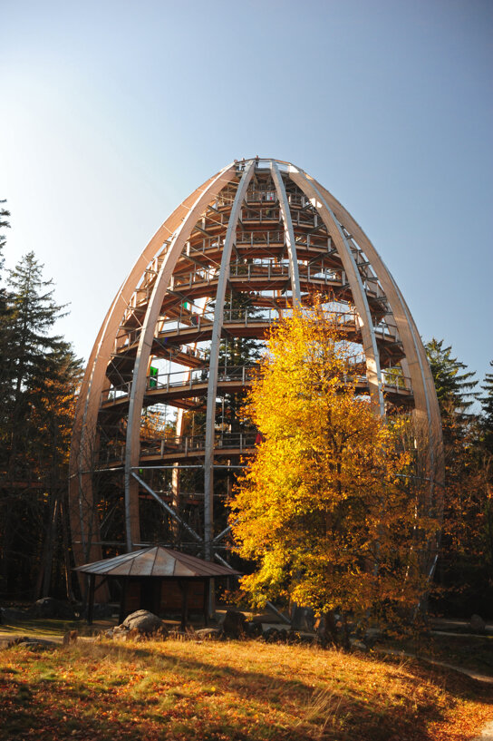 Neuschönau Waldwipfelweg Erlebnis Akademie AG