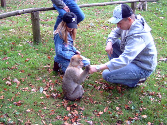 ffchen Tierpark