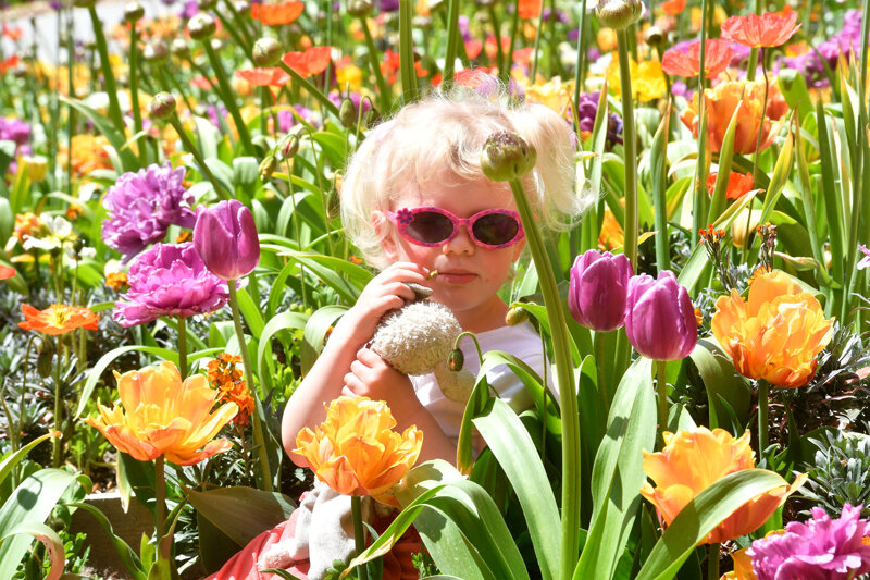 Landesgartenschau Bad Windsheim 2027