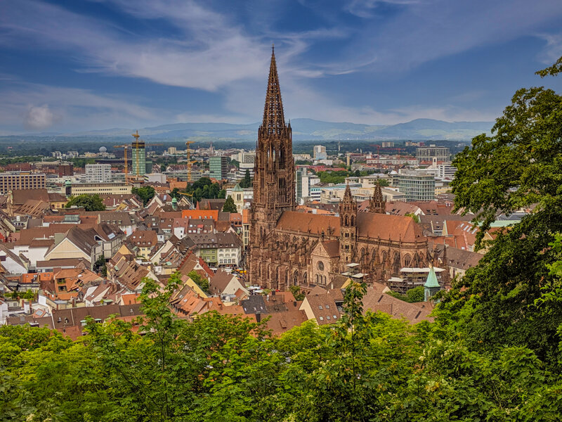 Freiburger Münster
