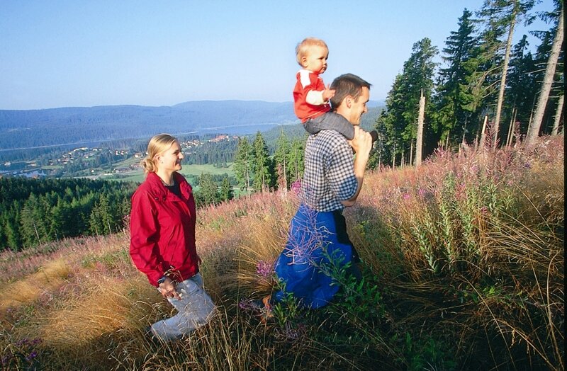 Panorama-Aussicht über den Hochschwarzwald
