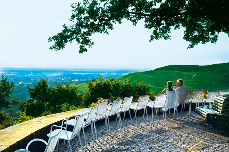 Blick über die Weinberge im Markgräflerland in Baden-Württemberg