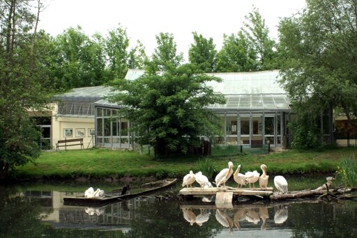 Tiergarten Straubing