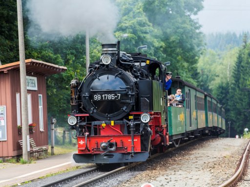 Mächtig Dampf, grüne Wälder und kühles Bier