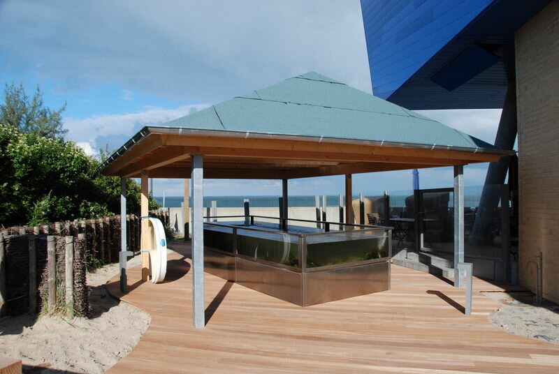 Seetierbecken mit den Bewohnern des Wattenmeeres