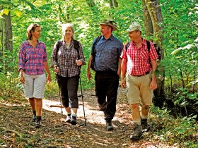 Wandern-auf-dem-Albsteig C Schwäbisch Alb Tourismus (3)