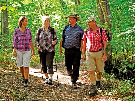 Wandern-auf-dem-Albsteig C Schwäbisch Alb Tourismus (3)