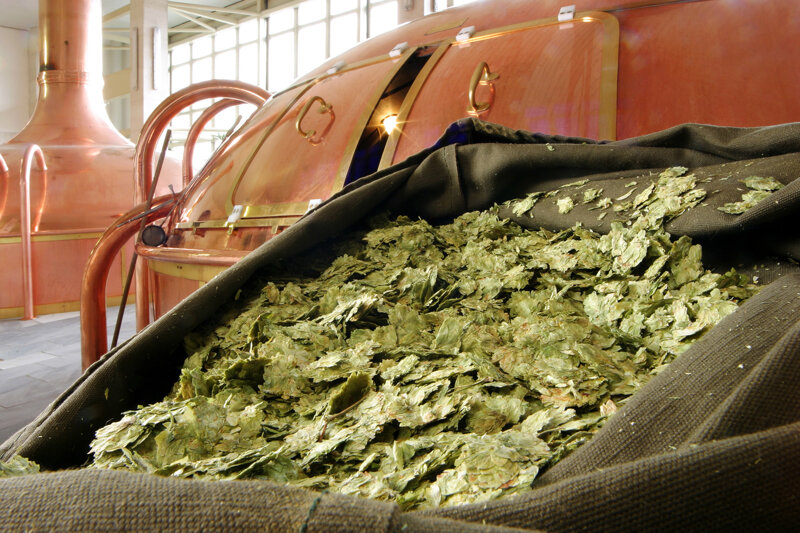 Bierbrauerei Budweiser