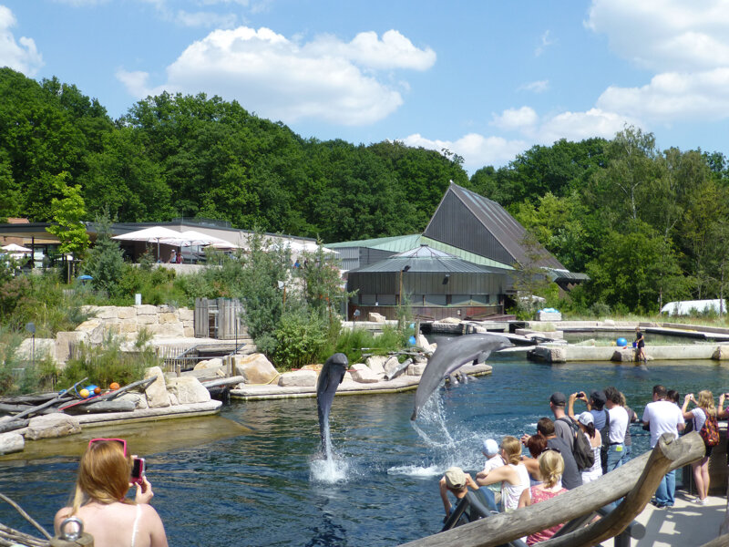 Tiergarten Nürnberg Delphinlagune
