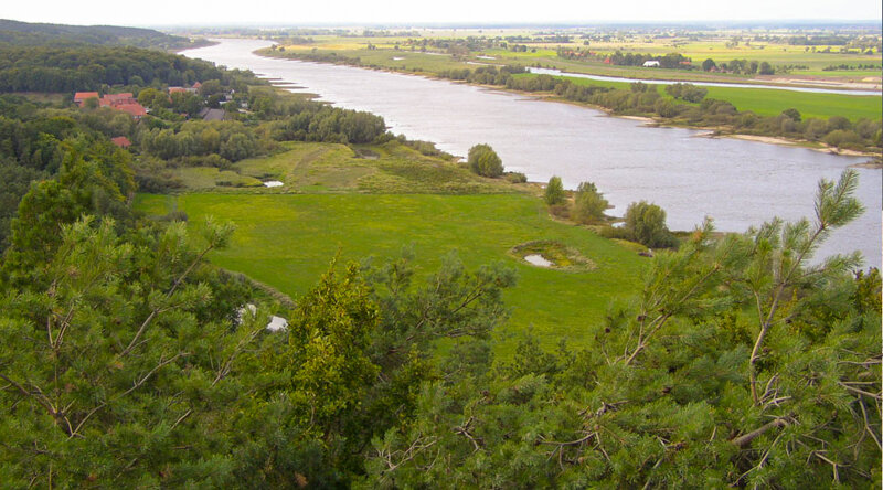 Blick auf die Elbe bei Rühstädt in der Prignitz