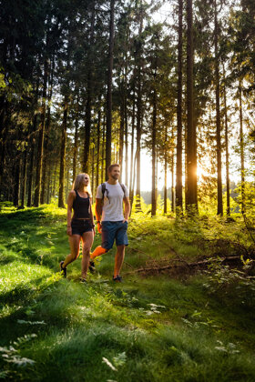 Wandern Wal d© Tourismusregion Coburg.Rennsteig e.V.  Sebastian Buff
