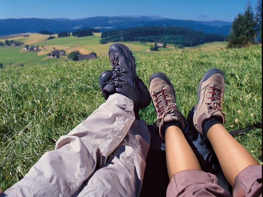 Wandern im Wald, Wellness im Palmenwald