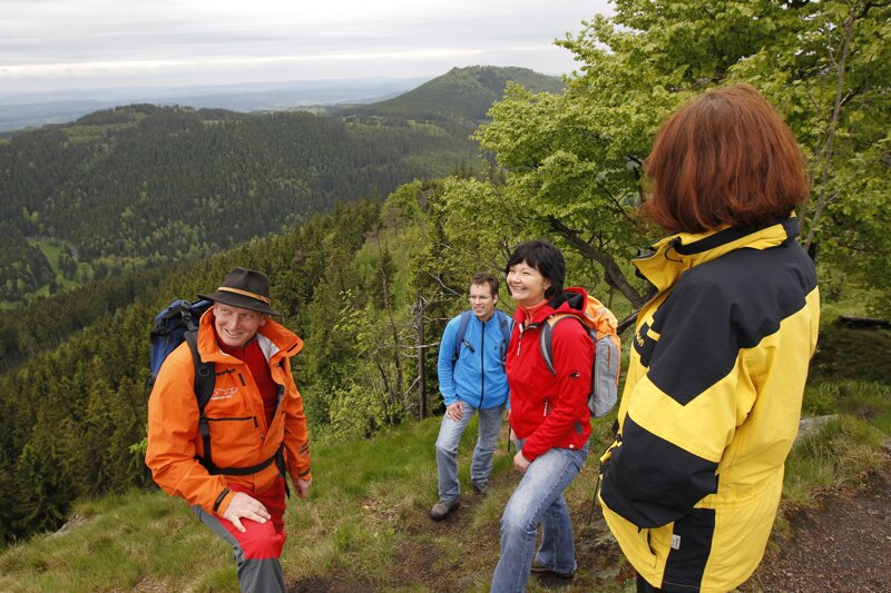 Wanderer im Wald