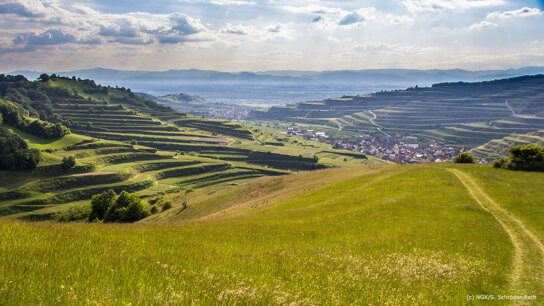 default upload bucket Kaiserstuhl-Impressionen Schelinger Matte Wiese Terrassen Elsass Schröder-Esch 2017-05 klein MC