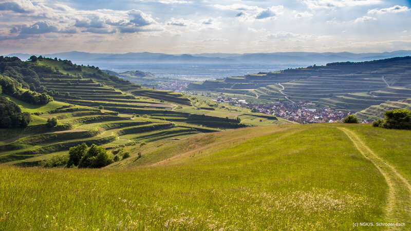Landschaft