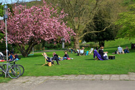 Stadtgarten C FWTM, Cozort