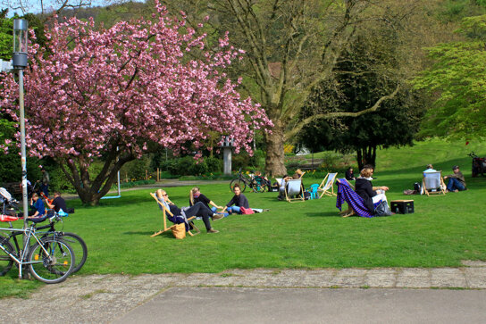 Stadtgarten C FWTM, Cozort