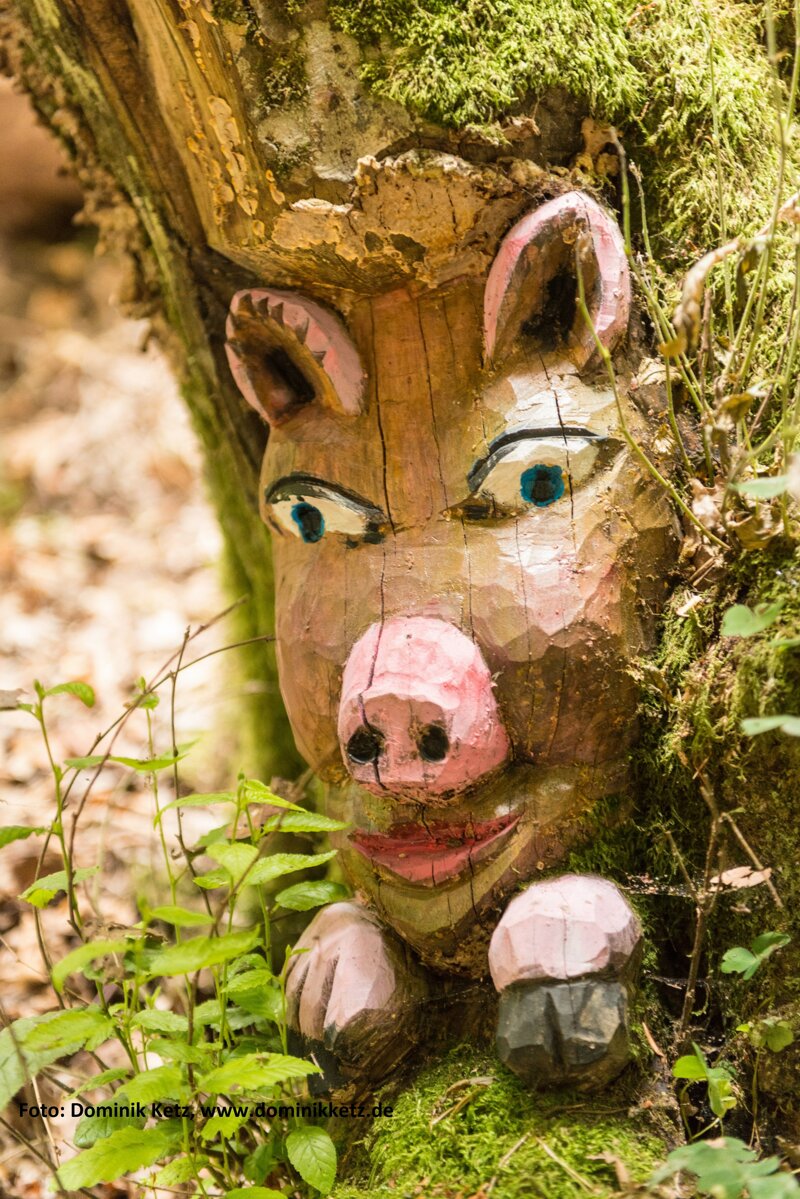 Baumgeist in der Stecken-Schläfer Klamm - Tree ghost at narrow gorge 2Stecke
