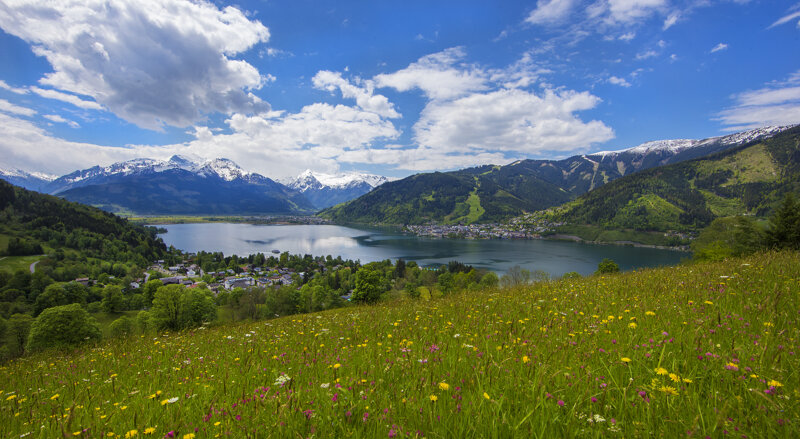 Sommer-Panorama Berge, Wiesen, See