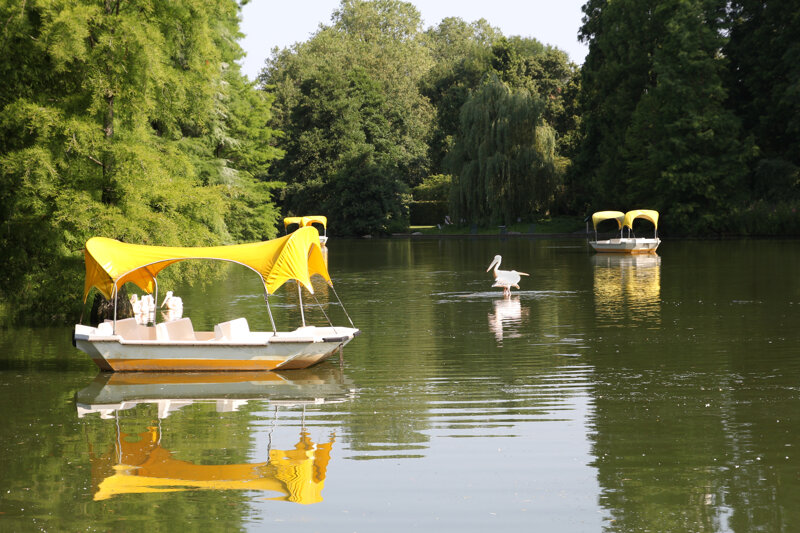 Gondoletta und Pelikane im Luisenpark Mannheim