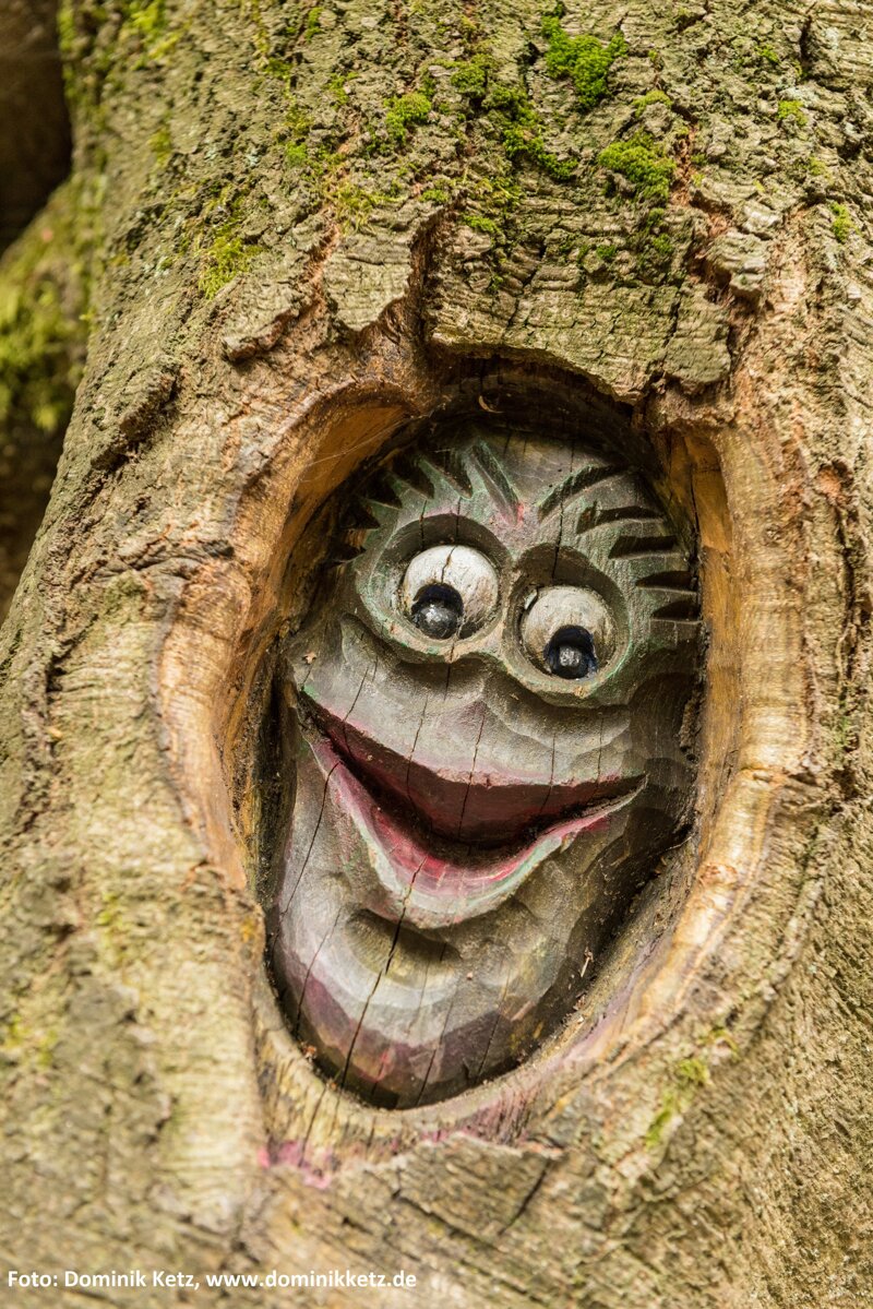 Baumgeist in der Stecken-Schläfer Klamm - Tree ghost at narrow gorge
