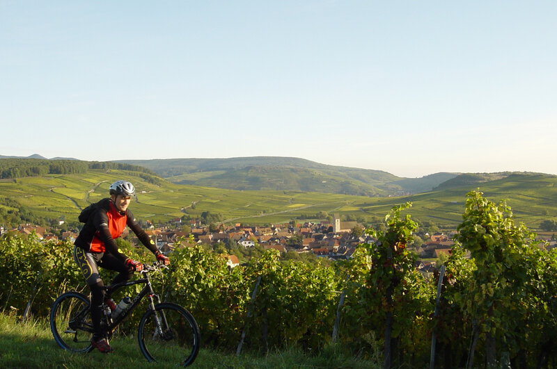 Florival, VTT en pleine nature c O.T. Guebwiller F.Kruch