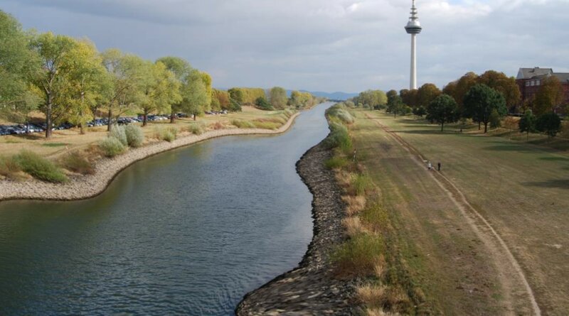 Neckar in Mannheim – Natur und Stadt