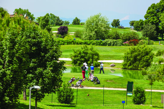 AAGCParadiso ProAm15 big