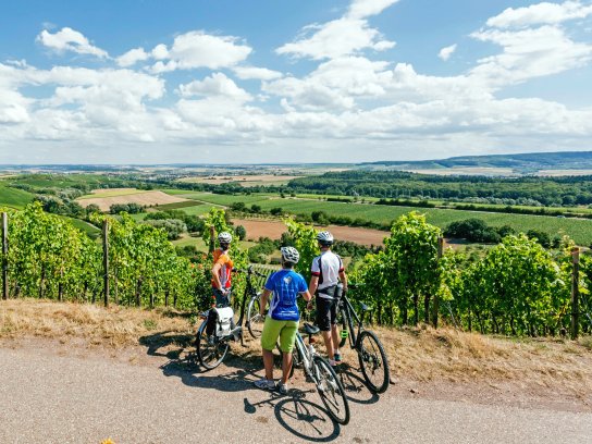 Württemberger Weinradweg C Touristikgemeinschaft Heilbronner Land (13)