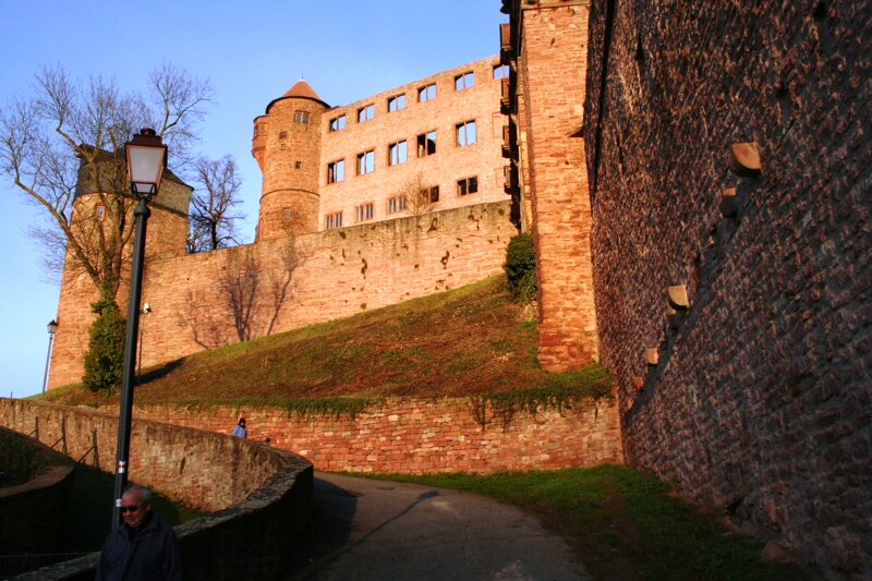 Burgruine Wertheim mit Panoramablick über Main und Tauber