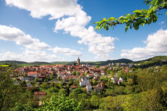 Luftbild BW ©Staatsbad