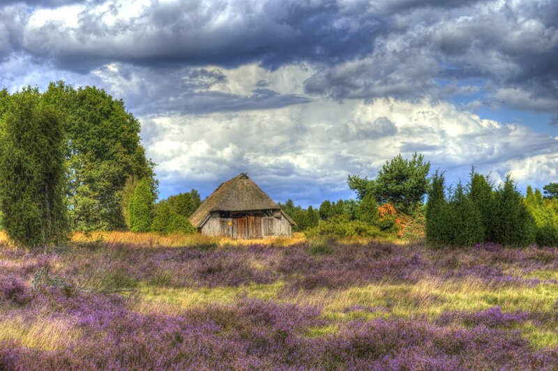 Lüneburger heide, dramatisch ohne c pixabay