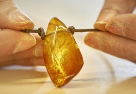 49 Pressefotos 2017 TMVPocha