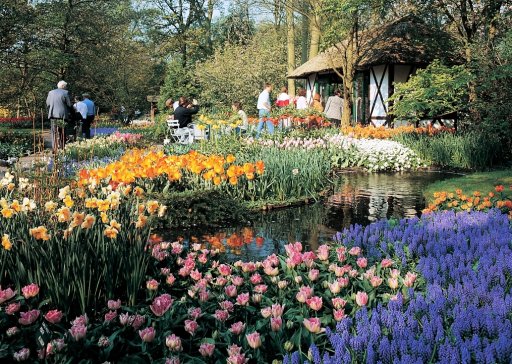 Keukenhof - Lisse (Niederlande)