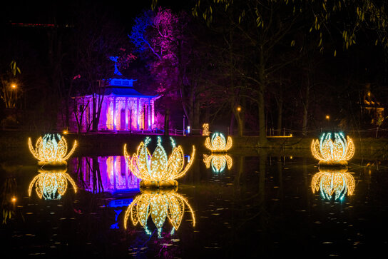 Christmas Garden Dresden 2021 Seerosenteich©Christmas Garden-Michael Clemens