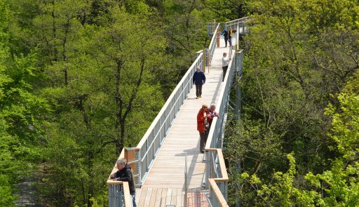 Baumwipfelpfad Bad Harzburg