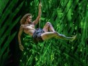 Tarzan fliegt in Hamburgs Großstadtdschungel