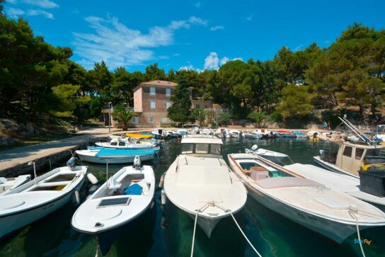 Mandre-5d8f1cdb705f2564110004 huge