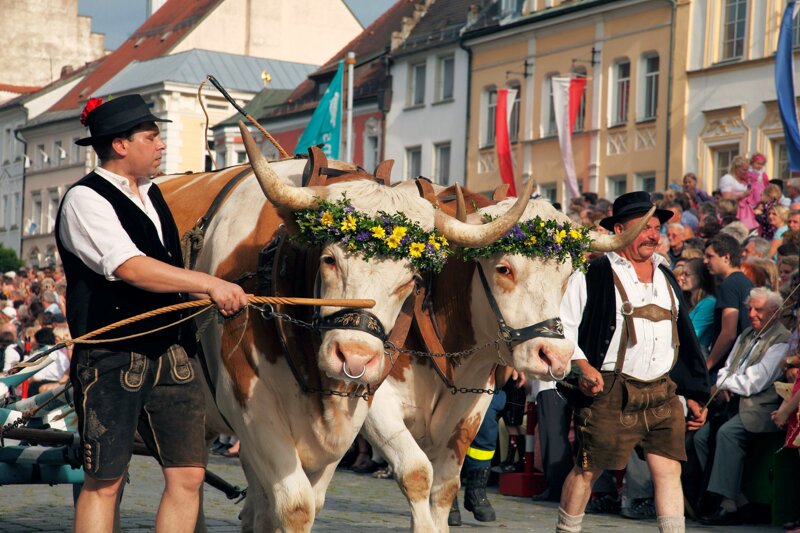 Bierreisen in Bayern